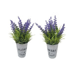 2 Piantine Lavanda con Vasetto in Latta | Domus Zone - DomusZone