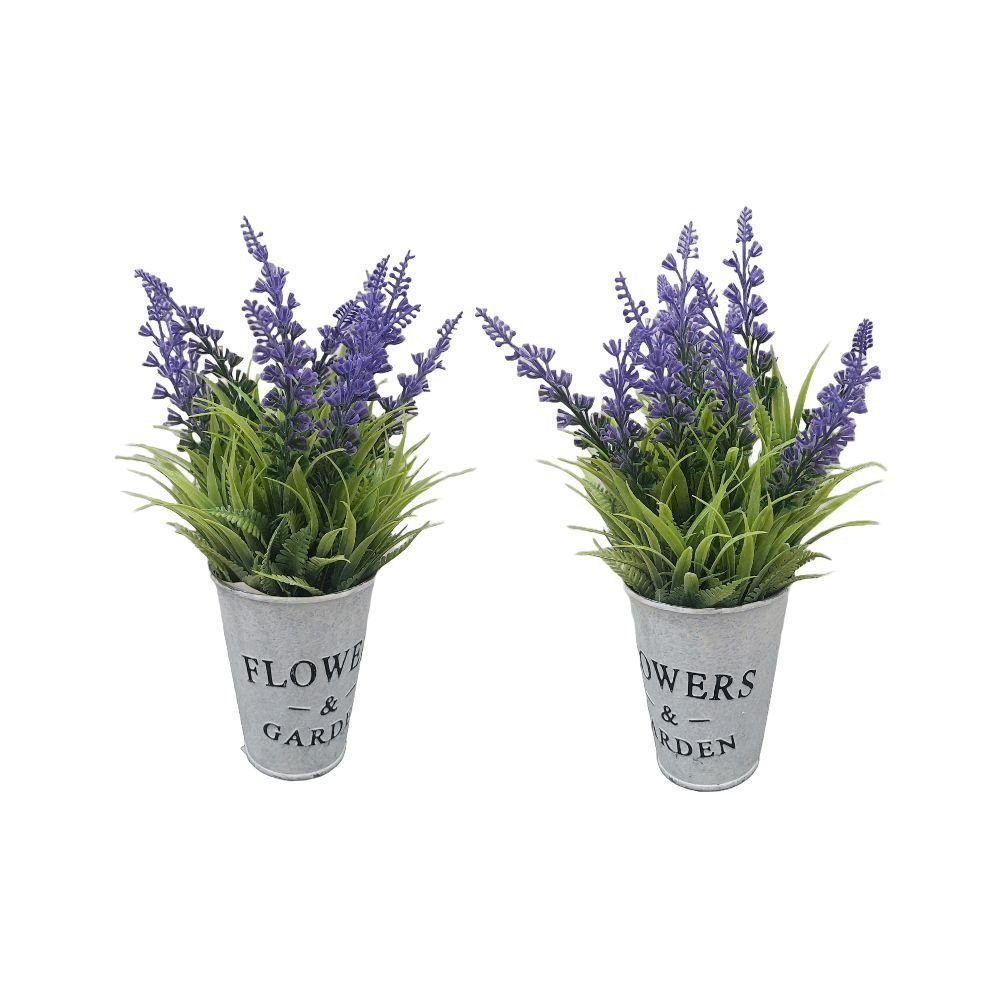 2 Piantine Lavanda con Vasetto in Latta | Domus Zone - DomusZone