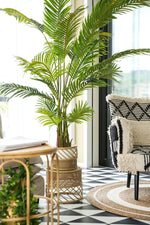 Palma Real Touch Big Artificiale 110x170 | Domus Zone - DomusZone