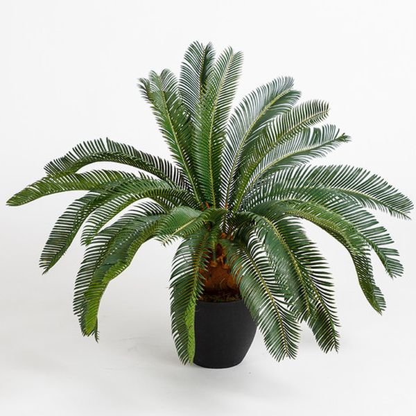 Pianta Cycas Artificiale Real Touch 72cm vaso bianco | Green Decor - DomusZone