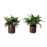 Set 2 Piantine Artificiali con Vasetto Legno | Domus Zone - DomusZone