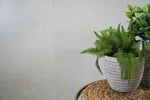 Set 2 Piantine Artificiali con Vasetto Legno | Domus Zone - DomusZone