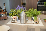 Set 2 Piantine Artificiali con Vasetto Legno | Domus Zone - DomusZone